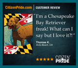 Review of Maryland Chessie House Flag by Joe Barsin,
