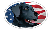 USA Black Lab Oval Magnet, 6x4