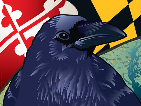 Baltimore Raven Art Print by Joe Barsin, 16x12