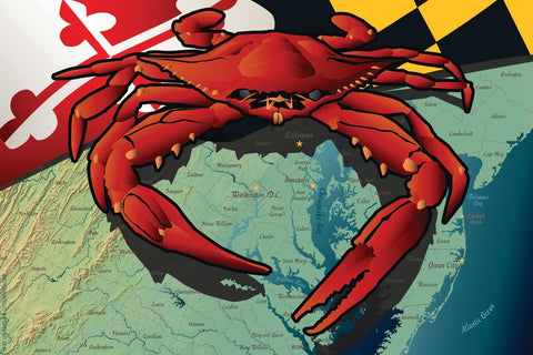 Maryland Red Crab Art Print by Joe Barsin, 16x12