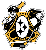 Pittsburgh Three Rivers Roar Sports Fan sticker decal die cut vinyl, 4.1x4.5