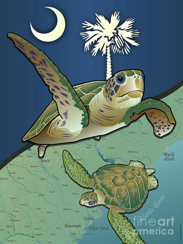 South Carolina Sea Turtles - Art Print