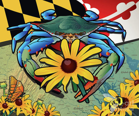 Blue Crab Maryland Black-eyed Susan - Art Print