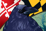 SALE! Baltimore Raven Canvas Print by Joe Barsin, 12x8x.75"