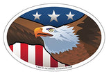USA Bald Eagle Oval Magnet, 6x4