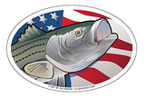 USA Striped Bass Oval Magnet, 6x4