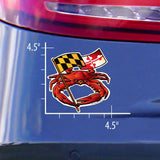 Measurements of Red Crab Maryland Banner Sticker