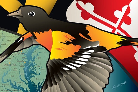Birdland Baltimore Raven and Oriole Maryland Shield Digital Art by Joe  Barsin - Pixels