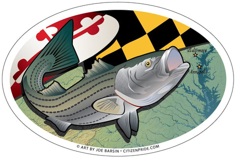 Maryland Rockfish Oval Magnet, 6x4