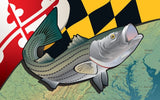 Maryland Rockfish Door Mat by Joe Barsin, 30x18