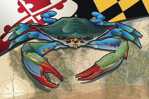 Maryland Blue Crab Canvas Print by Joe Barsin, 12x8x.75