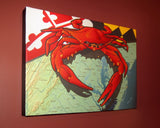 Display of Maryland Red Crab Canvas Print by Joe Barsin