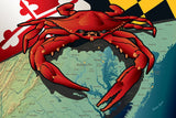 Maryland Red Crab Canvas Print by Joe Barsin, 12x8x.75