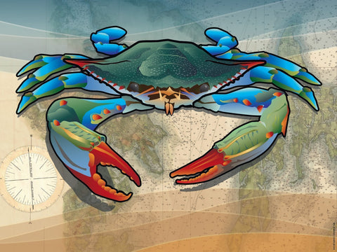 Coastal Blue Crab Art Print by Joe Barsin, 16x12