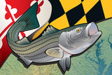 Maryland Rockfish Canvas Print by Joe Barsin, 12x8x.75
