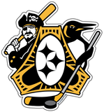 Pittsburgh-Three Rivers Roar Sports Fan Crest, Large Decals