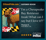 Review of Maryland Chessie Garden Flag by Joe Barsin, 12x18, Chesapeake Bay Retriever
