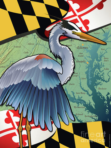 Blue Heron of Maryland - Art Print