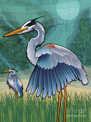 Blue Herons of The Chesapeake Bay - Art Print