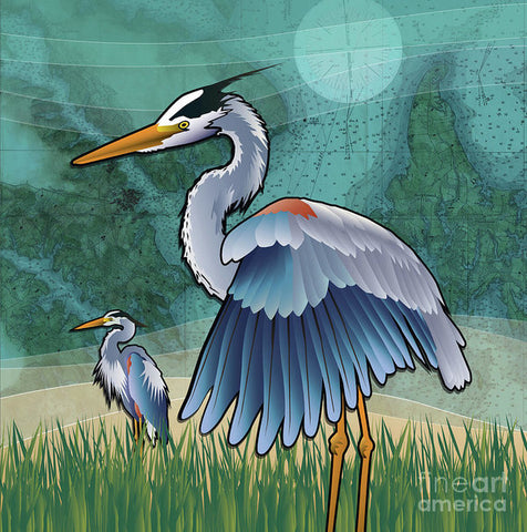 Coastal Blue Herons of The Chesapeake Bay - Art Print