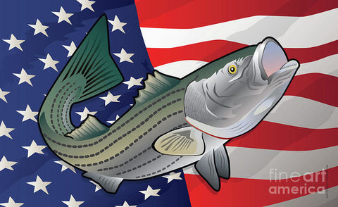USA Rockfish Striped Bass - Art Print